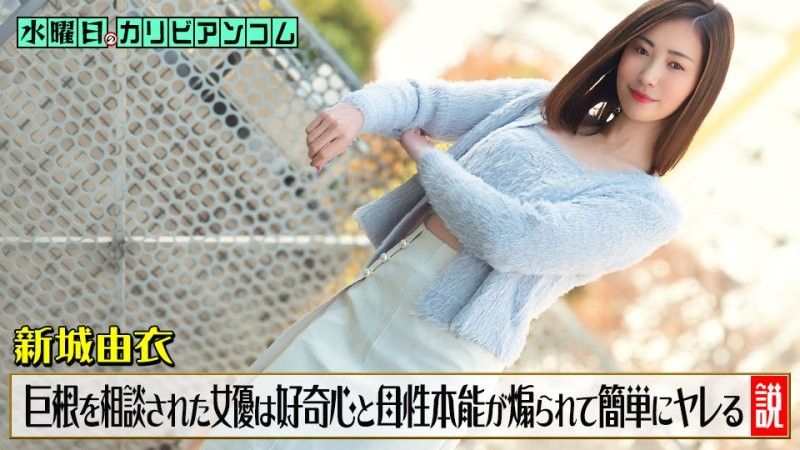 caribbeancom_033126_001 星期三的加勒比 ~阴茎太大而困扰，被咨询的女演员好奇心和母性本能被激发，很容易就可以搞上~ 新城由衣